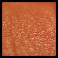 Thumbnail for version as of 20:16, 6 March 2010