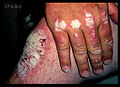 Thumbnail for version as of 14:40, 3 December 2010