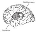 Thumbnail for version as of 14:09, 2 June 2014