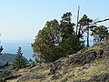 Thumbnail for version as of 23:58, 8 May 2011