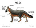 Thumbnail for version as of 18:08, 4 January 2015