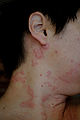 Thumbnail for version as of 17:22, 12 May 2010