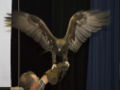 Thumbnail for version as of 04:11, 30 January 2007