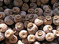 Thumbnail for version as of 06:10, 10 May 2012