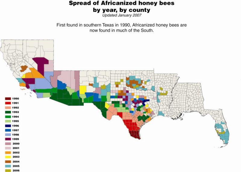 File:Africanized bee map.jpg