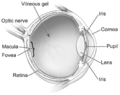 Thumbnail for version as of 21:17, 28 August 2008