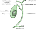 Thumbnail for version as of 15:34, 9 October 2016