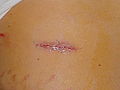Thumbnail for version as of 09:05, 18 February 2011