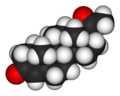 Thumbnail for version as of 07:09, 18 May 2009