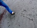 Slippery Loess.jpg