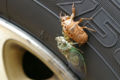 Thumbnail for version as of 20:00, 19 September 2007