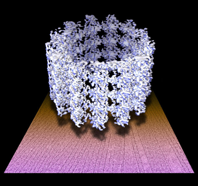 Ficheiro:Microtubule structure.jpg