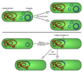 Thumbnail for version as of 02:44, 8 May 2019