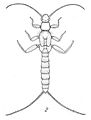 Thumbnail for version as of 00:55, 22 November 2011