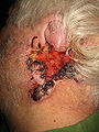 Thumbnail for version as of 00:34, 2 March 2010