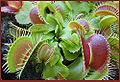Thumbnail for version as of 04:31, 19 May 2010