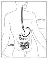Thumbnail for version as of 02:23, 8 May 2013