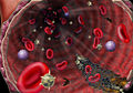 Thumbnail for version as of 04:29, 16 November 2008