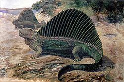 Dimetrodon painting.jpg
