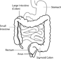 Thumbnail for version as of 22:31, 24 January 2010