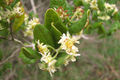Thumbnail for version as of 23:28, 24 May 2013