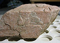 Orthoclase (Potassium aluminum silicate)