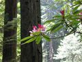 Thumbnail for version as of 01:17, 22 May 2013