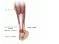 Thumbnail for version as of 14:24, 20 March 2017
