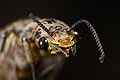 Thumbnail for version as of 22:00, 22 November 2011