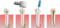 Thumbnail for version as of 05:05, 31 January 2012