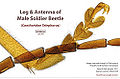 Thumbnail for version as of 04:34, 7 January 2010