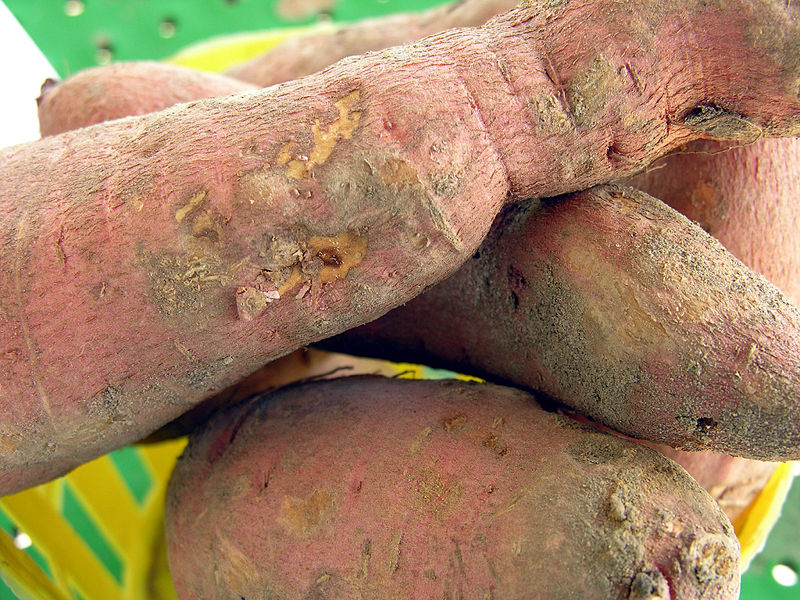 File:Sweet potato.jpg