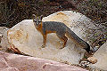 Thumbnail for version as of 16:42, 11 March 2008