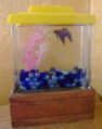 Bettas are Common Independant Pets