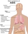 Thumbnail for version as of 23:29, 26 October 2014