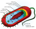 Thumbnail for version as of 23:32, 10 November 2009