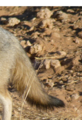 Thumbnail for version as of 19:54, 27 April 2018