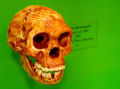 Thumbnail for version as of 16:42, 10 January 2008