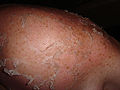 Thumbnail for version as of 02:24, 29 April 2009