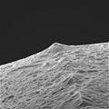 Iapetus' equatorial ridge at close approach