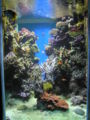 Thumbnail for version as of 17:39, 27 September 2006