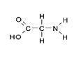 Glycine.JPG