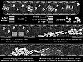 Thumbnail for version as of 00:13, 22 April 2011