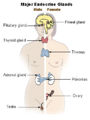 Thumbnail for version as of 19:35, 3 October 2007