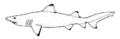 Thumbnail for version as of 06:11, 17 November 2006