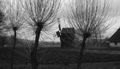 Thumbnail for version as of 07:17, 29 April 2007