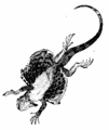 Thumbnail for version as of 01:48, 4 January 2008