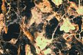 Thumbnail for version as of 21:49, 23 April 2008
