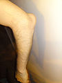 Thumbnail for version as of 05:32, 19 January 2012