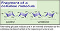 Thumbnail for version as of 22:00, 16 July 2008